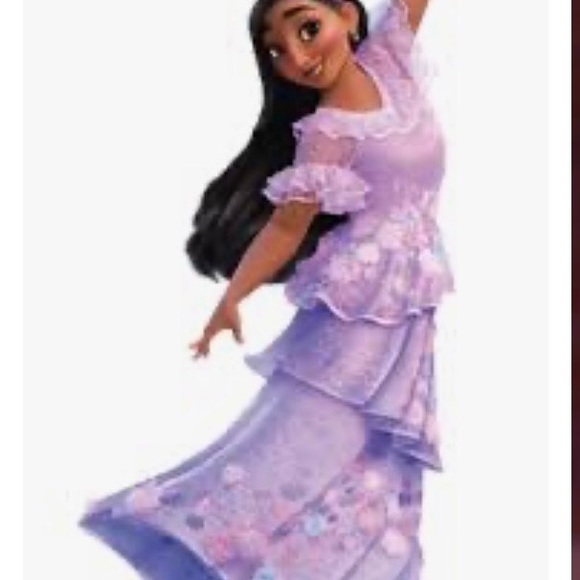 Encanto Isabela Dress Costume size 140/8-10 Sheer sleeves Pearl accents lined - Picture 7 of 7